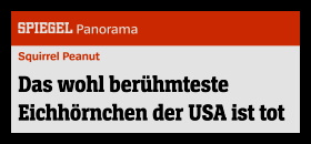 Die Nachricht im SPIEGEL
